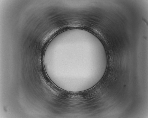 X0000099570535200806131258