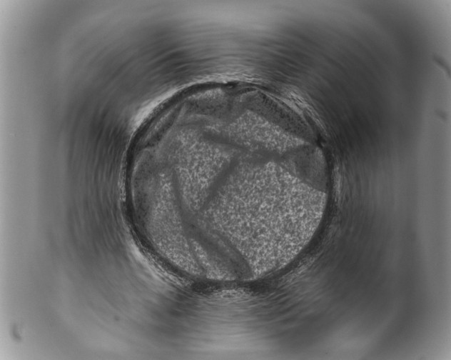 X0000099570536200806131258