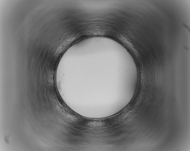 X0000099570537200806131258
