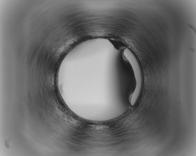 X0000099570539200806131258