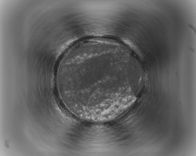 X0000099570540200806131258
