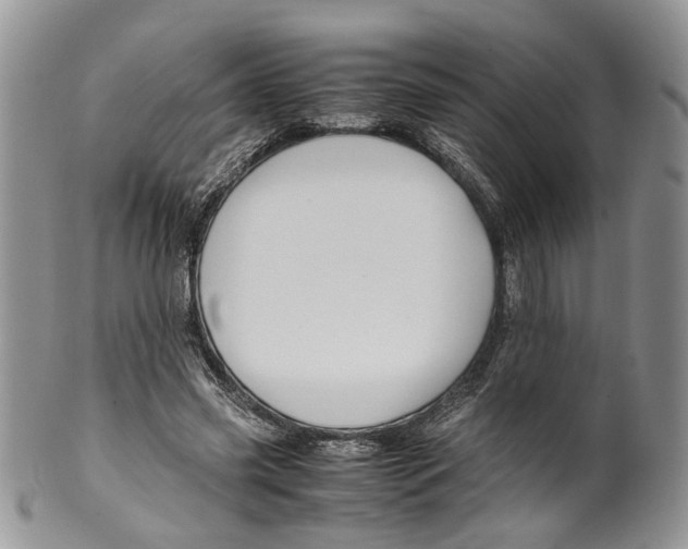 X0000099570541200806131258
