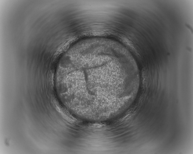X0000099570542200806131258