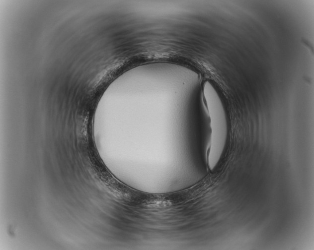 X0000099570543200806131258