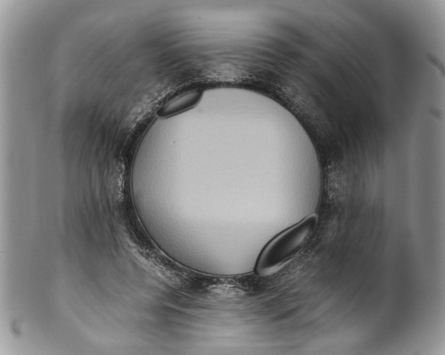 X0000099570544200806131258