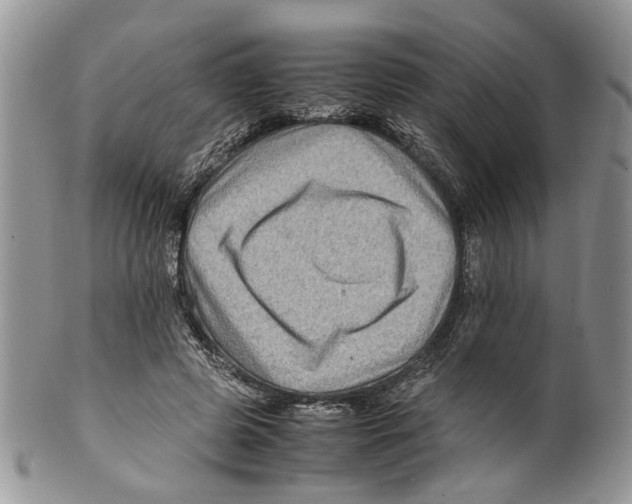 X0000099570545200806131258