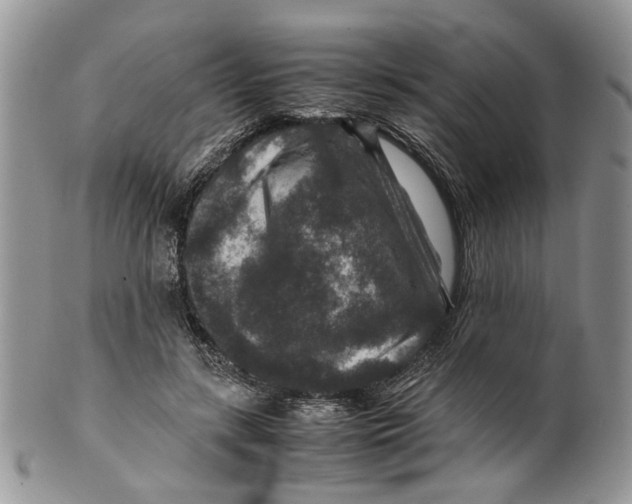 X0000099570547200806131258