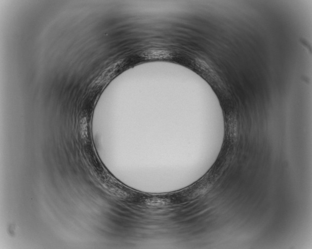 X0000099570549200806131259