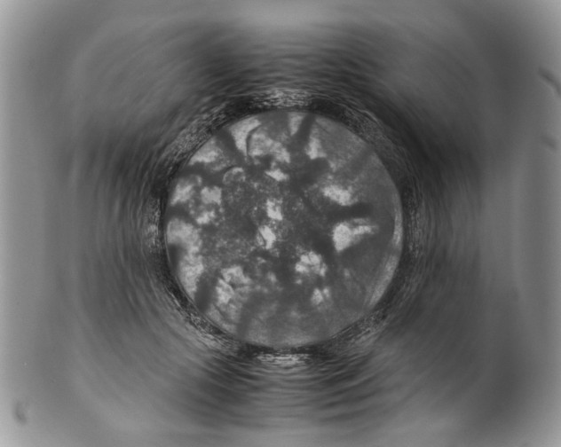 X0000099570553200806131259