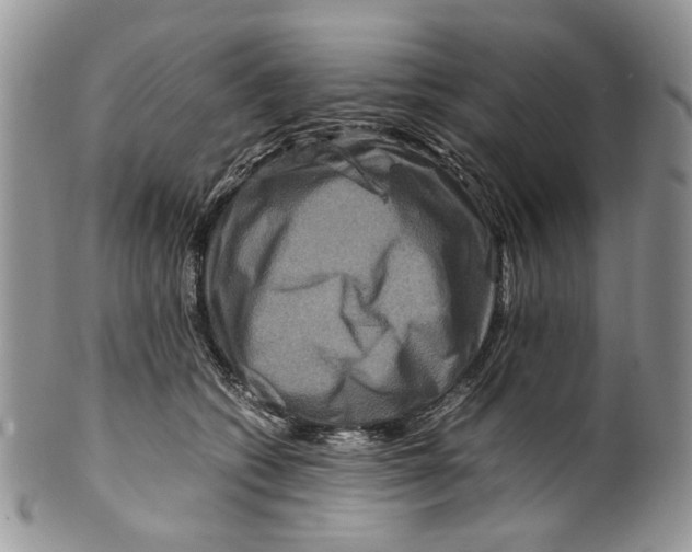 X0000099570562200806131259