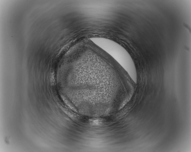 X0000099570564200806131259
