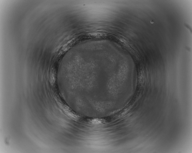 X0000099570566200806131259
