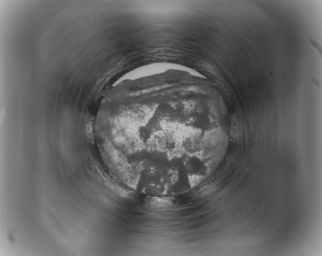 X0000099570573200806131259