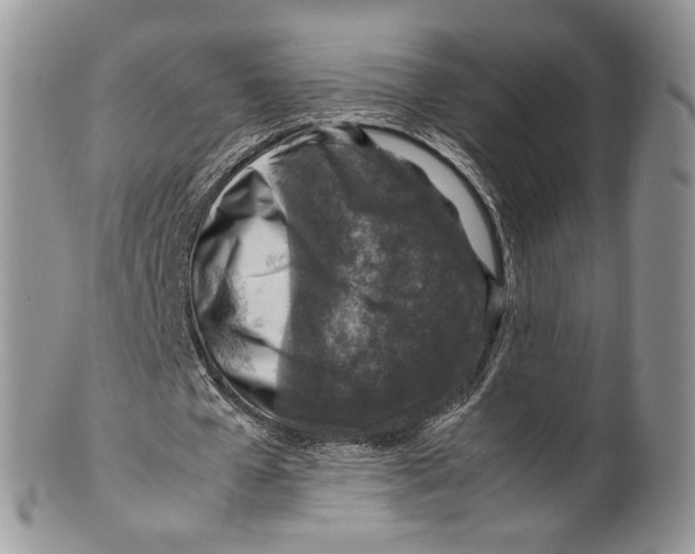 X0000099570577200806131258