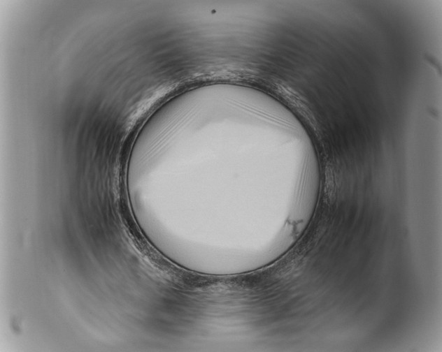 X0000099570578200806131258