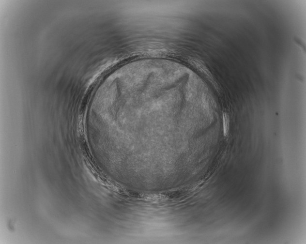 X0000099570579200806131258