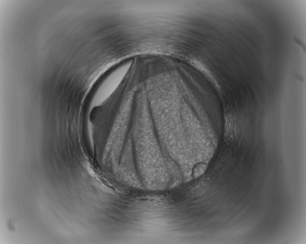 X0000099570580200806131258