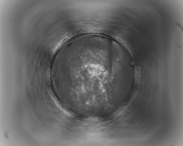 X0000099570581200806131258