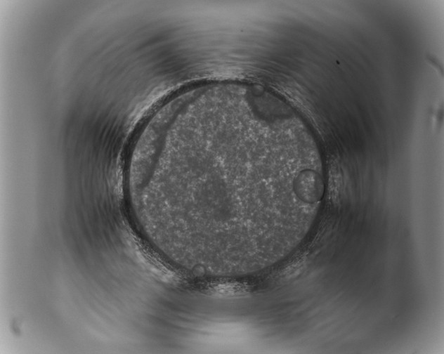 X0000099570584200806131258