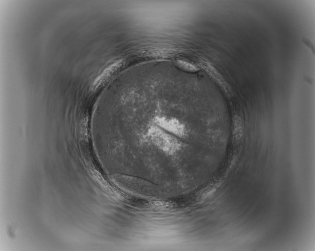X0000099570585200806131258