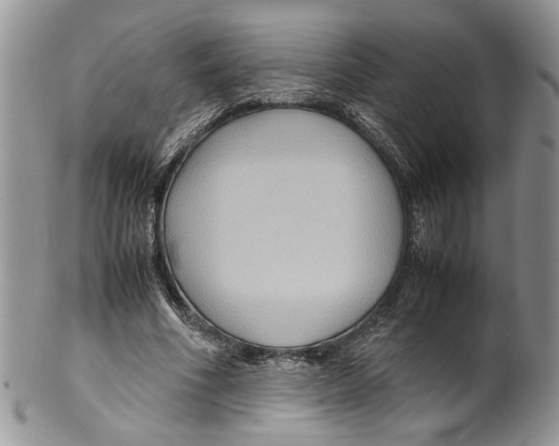 X0000099570586200806131258