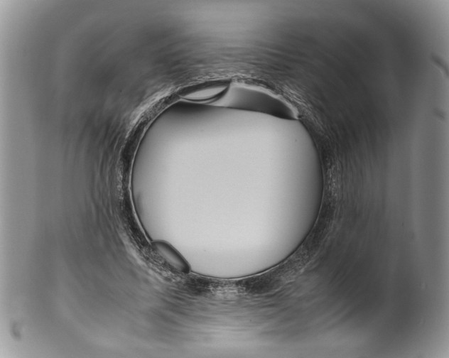 X0000099570587200806131258
