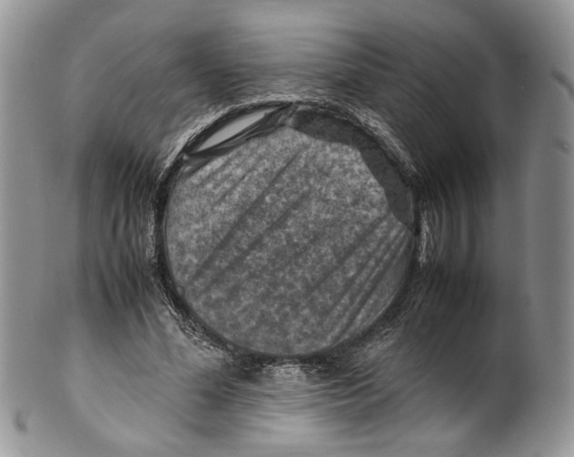 X0000099570588200806131258