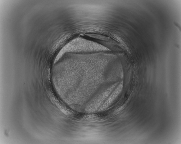 X0000099570589200806131258