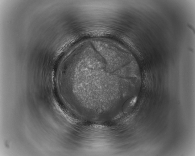X0000099570590200806131258