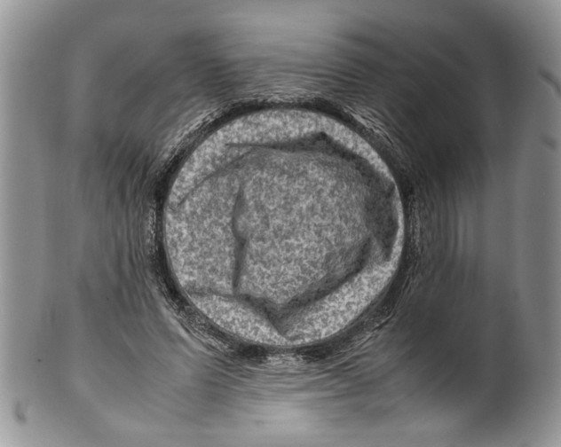 X0000099570591200806131258