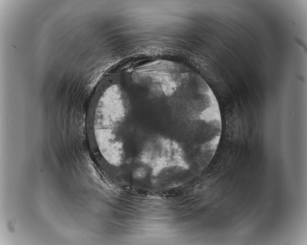 X0000099570592200806131258