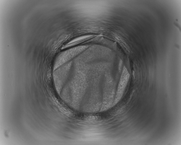 X0000099570593200806131258
