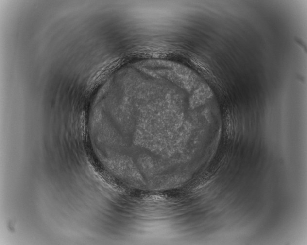 X0000099570594200806131258