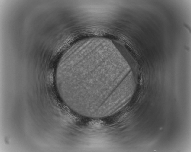 X0000099570595200806131258