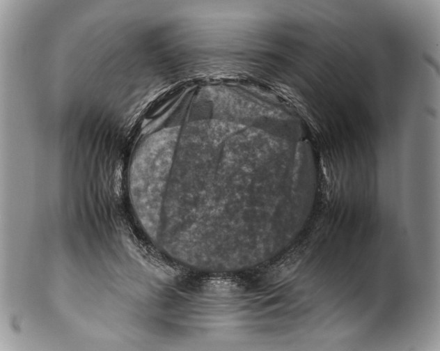 X0000099570596200806131258