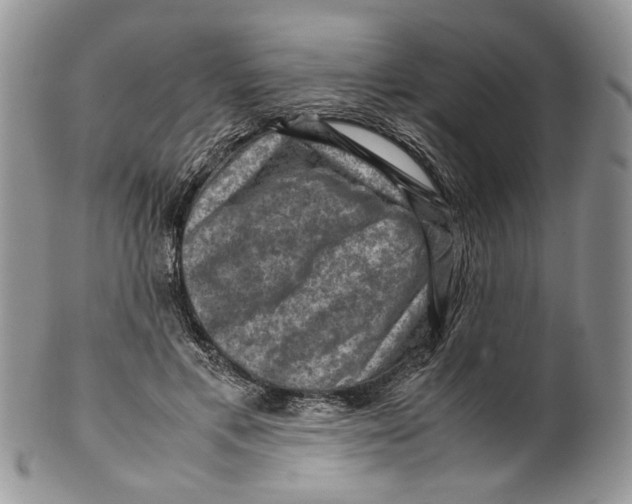 X0000099570597200806131258