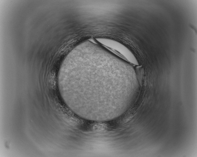 X0000099570599200806131258