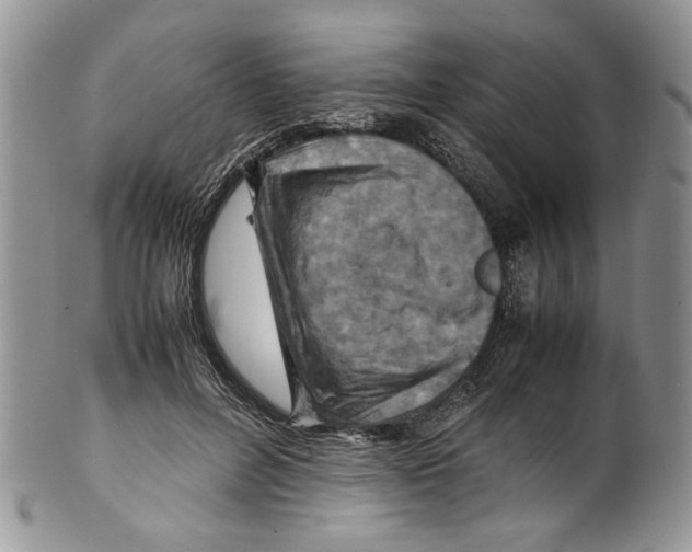 X0000099570600200806131258