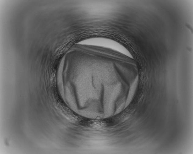 X0000099570601200806131258