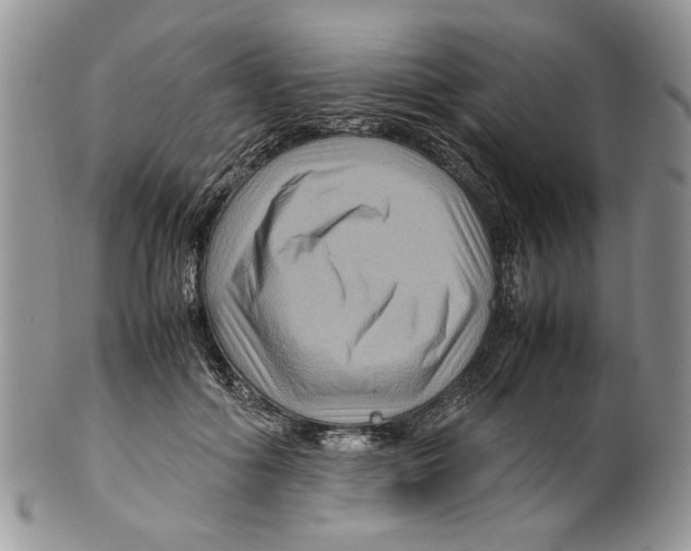 X0000099570602200806131258
