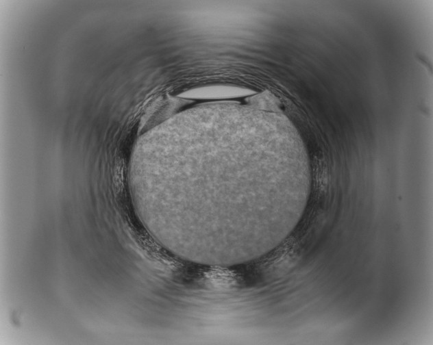 X0000099570603200806131258