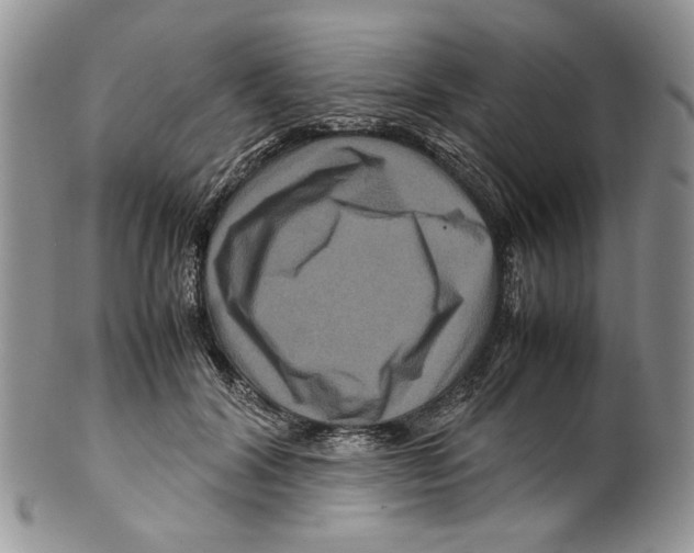 X0000099570604200806131258