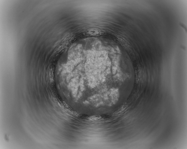 X0000099570606200806131258