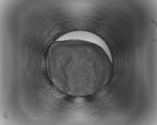 X0000099570609200806131258