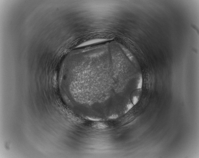 X0000099570610200806131258