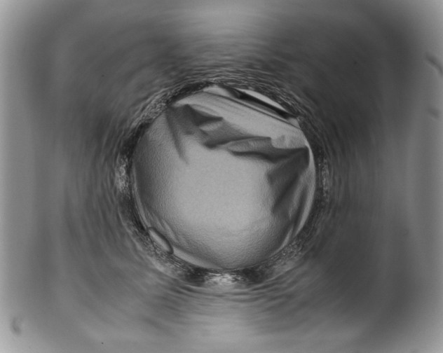X0000099570611200806131258