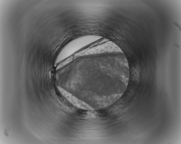 X0000099570612200806131258