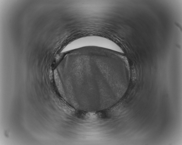 X0000099570613200806131258