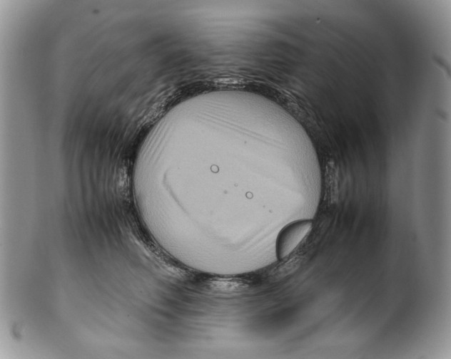 X0000099570614200806131258
