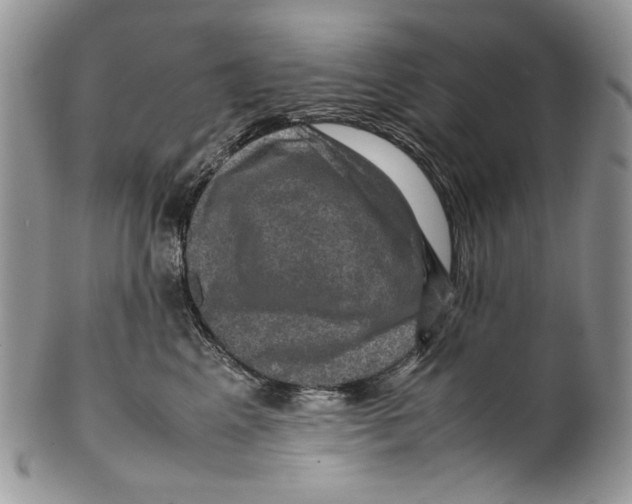 X0000099570617200806131258